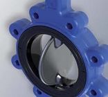 Elastic CR Butterfly Valve Seat For Soft Seated Butterfly Valve 1 '' - 54 '' Size